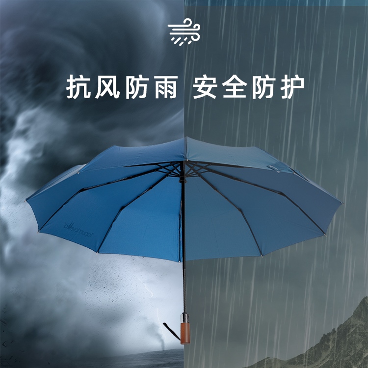 产品详情页-TU3010-防风防雨-糖心LOGO在线观看免费伞-中文_08_03